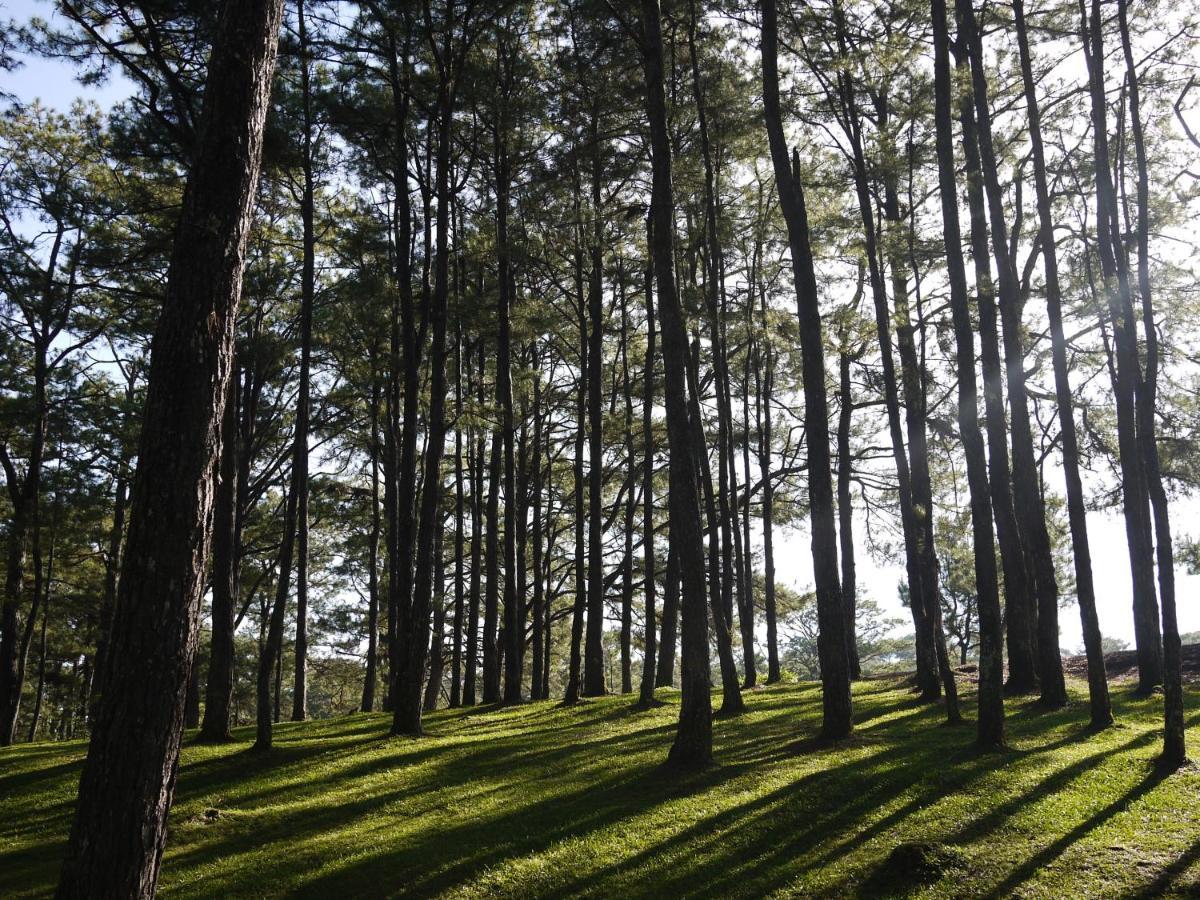 Azalea Residences Baguio Baguio City Exterior photo